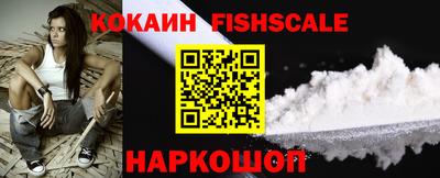 спайс Кингисепп