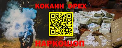 спайс Кингисепп