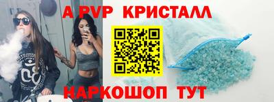 спайс Кингисепп