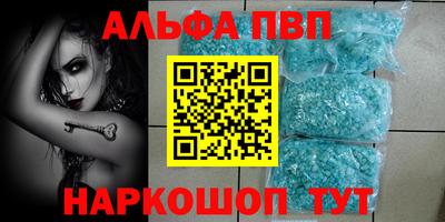 спайс Кингисепп
