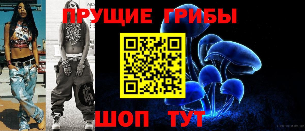 Галлюциногенные грибы Psilocybine cubensis  Вход с VPN  Коммунар 